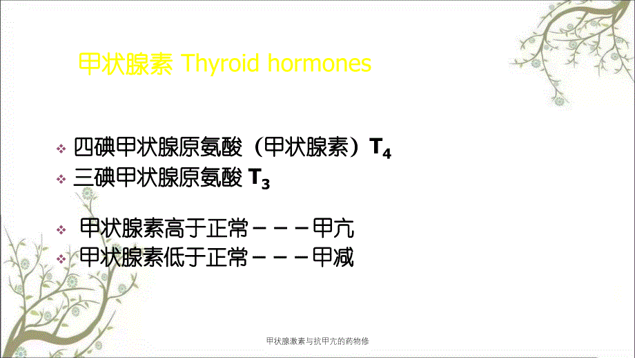 甲状腺激素与抗甲亢的药物修课件_第4页