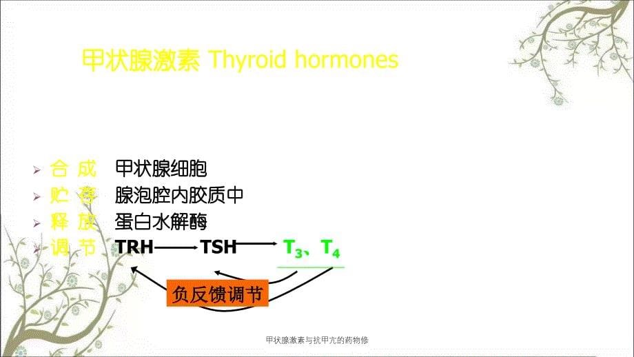 甲状腺激素与抗甲亢的药物修课件_第5页