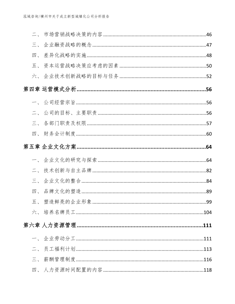 横州市关于成立新型城镇化公司分析报告（参考模板）_第2页