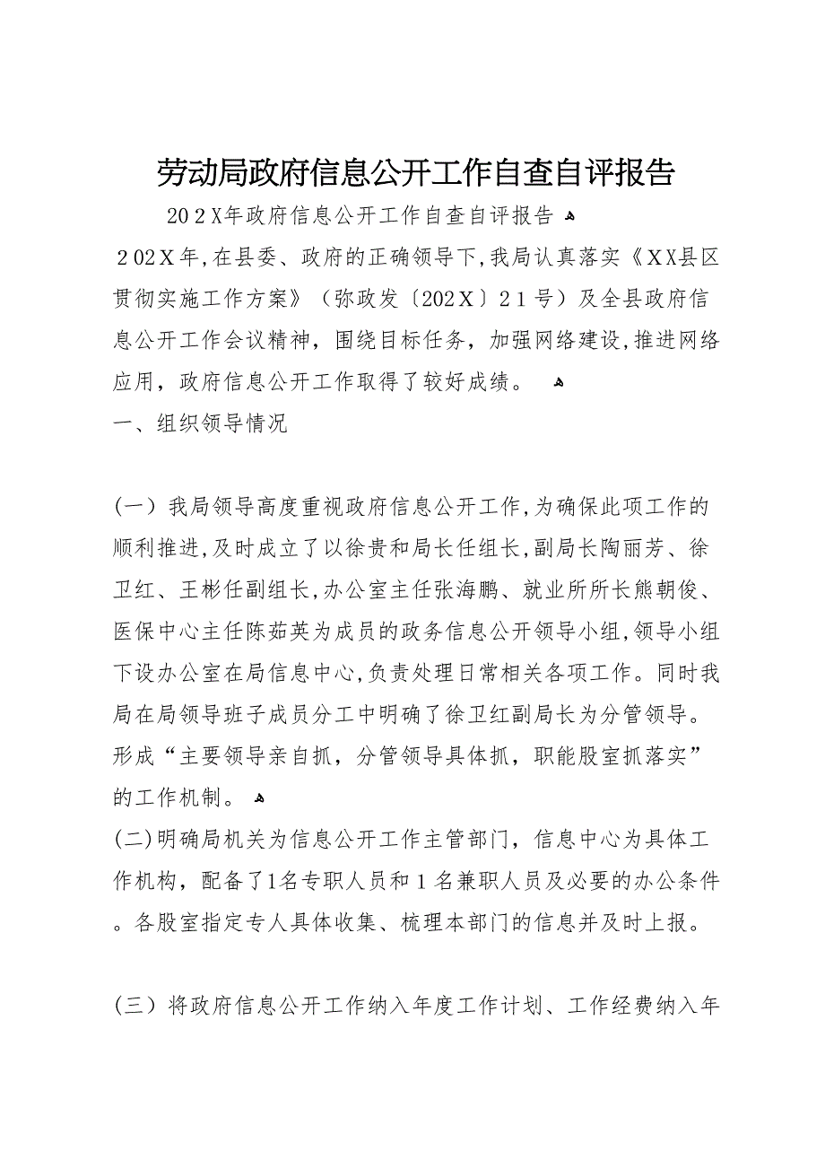 劳动局政府信息公开工作自查自评报告_第1页