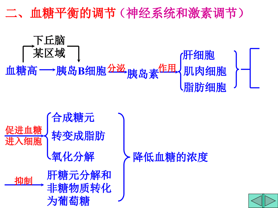 二血糖的调节_第3页