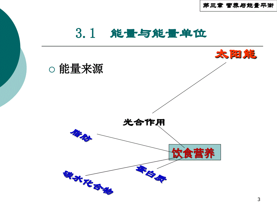 2014-3-营养与能量平衡资料_第3页