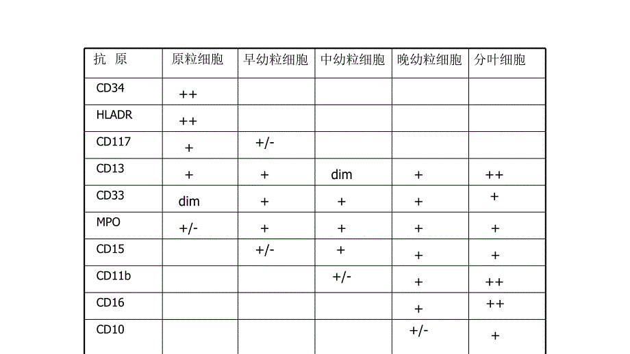 正常骨髓免疫表型.ppt_第3页