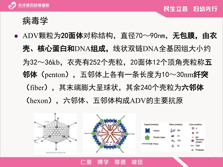 腺病毒肺炎PPT课件_第3页