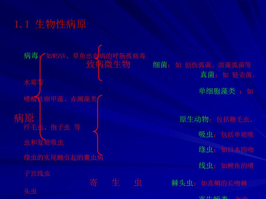 病理学基本原理_第2页