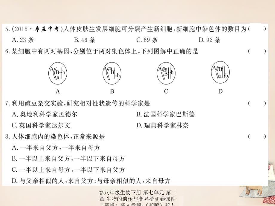 最新八年级生物下册第七单元第二章生物的遗传与变异检测卷_第3页