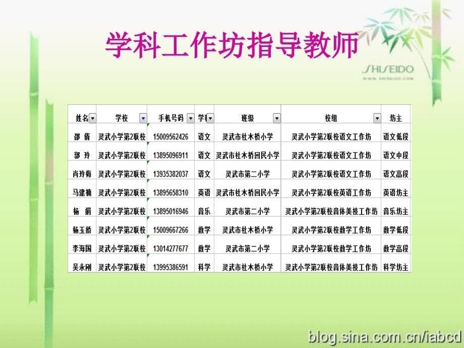 培训简报（一）_第5页