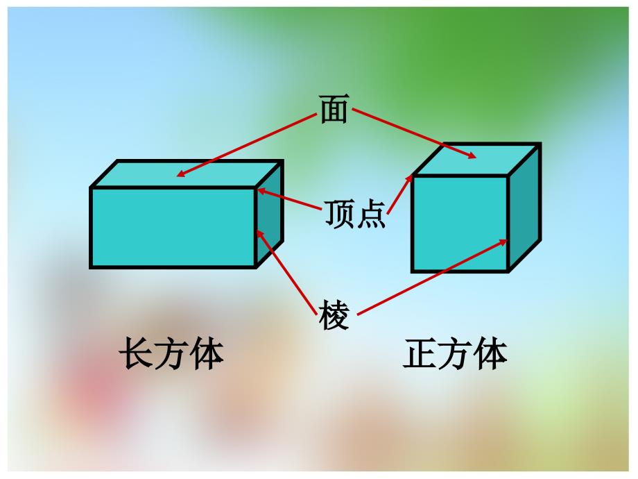 长方体和正方体的认识_第4页