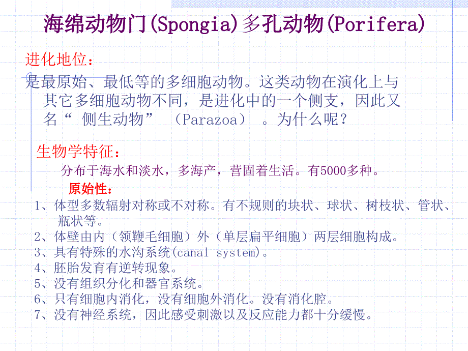 动物生物学一二海绵动物MicrosoftPowerPoint演示文稿_第4页