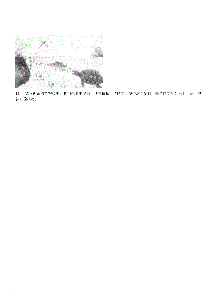 七年级生物上册 3.7.1 绿色植物是食物之源同步练习 苏教版_第2页