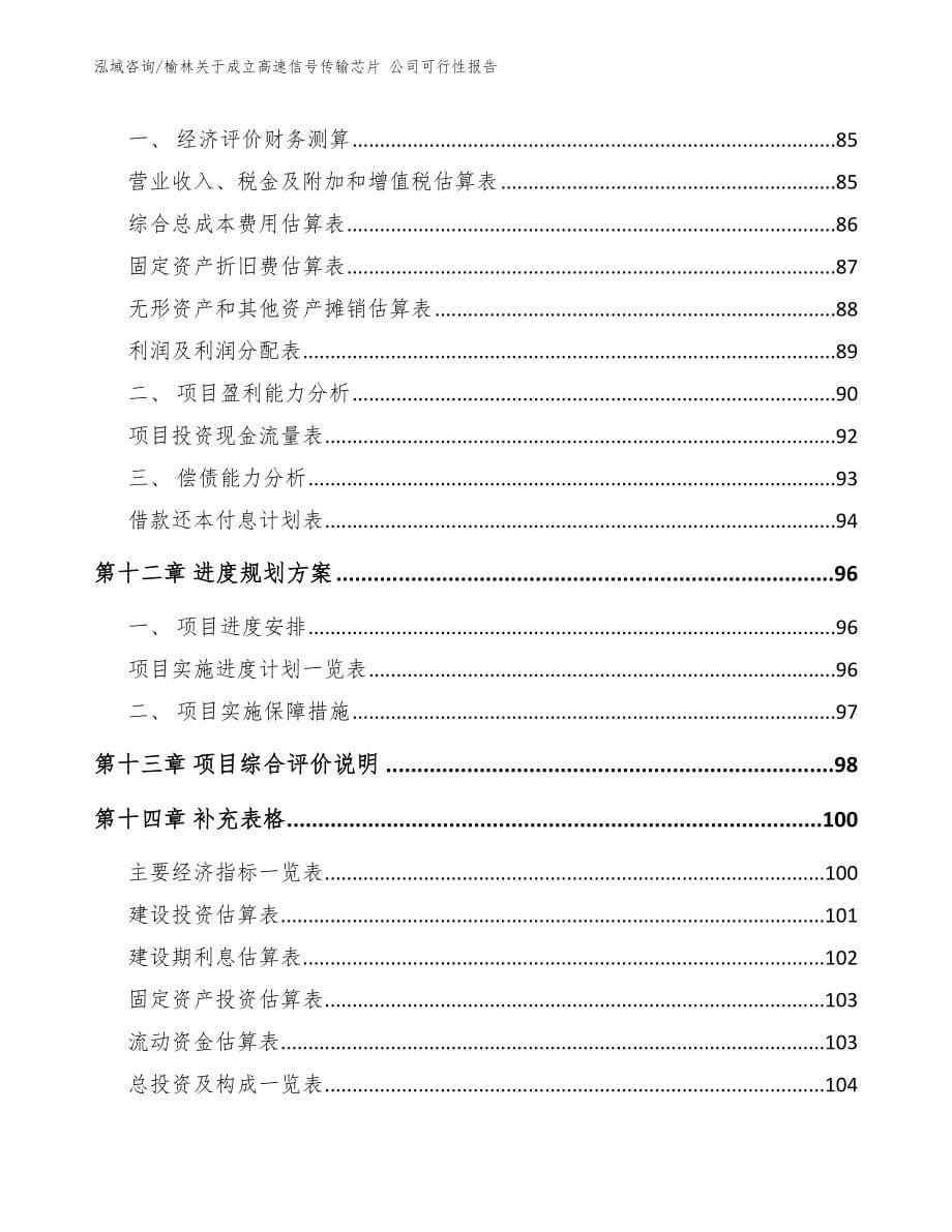 榆林关于成立高速信号传输芯片 公司可行性报告（模板参考）_第5页