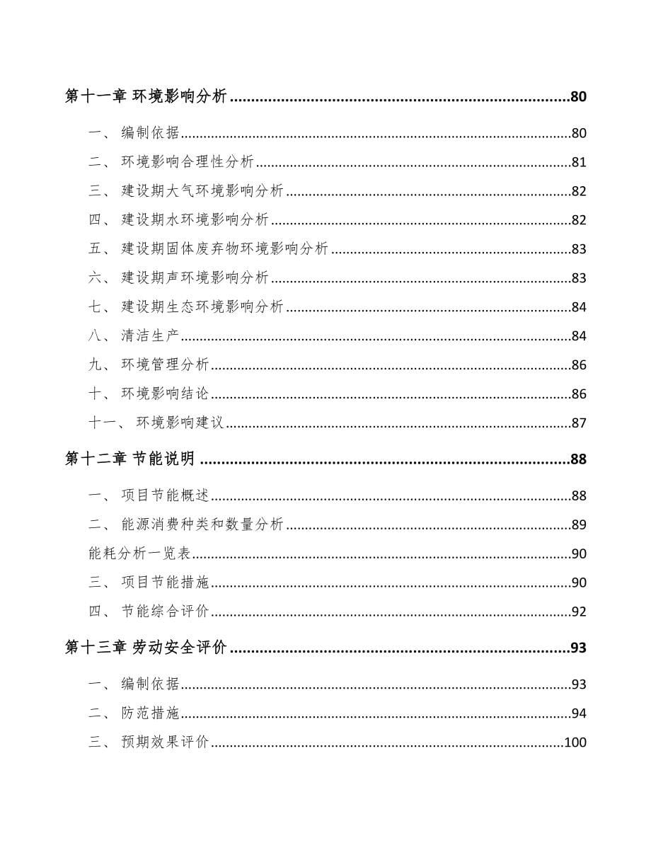 鄂州5G+信息消费项目可行性研究报告_第5页