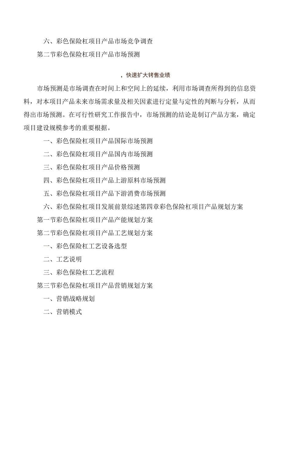 彩色保险杠项目可行性研究报告.docx_第5页