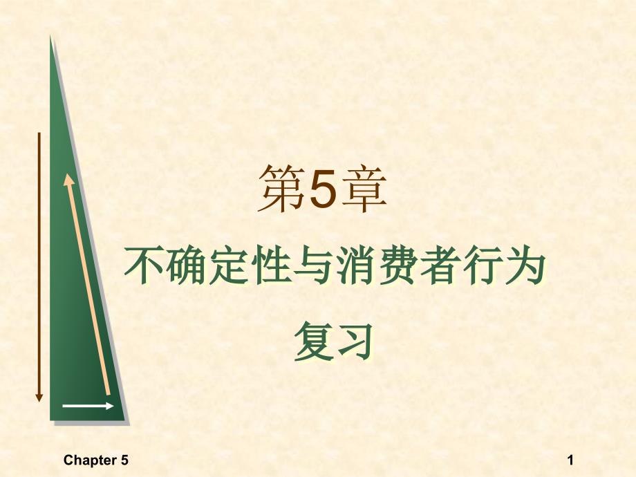 微观经济学复习课件：第5章 不确定性与消费者行为_第1页