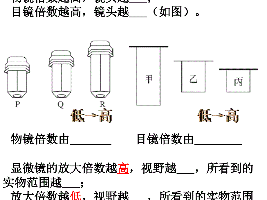 九年级生物复习图_第3页