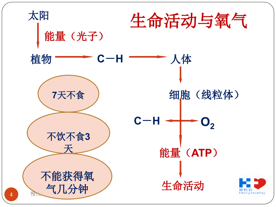 慢性缺氧与疾病ppt课件_第4页