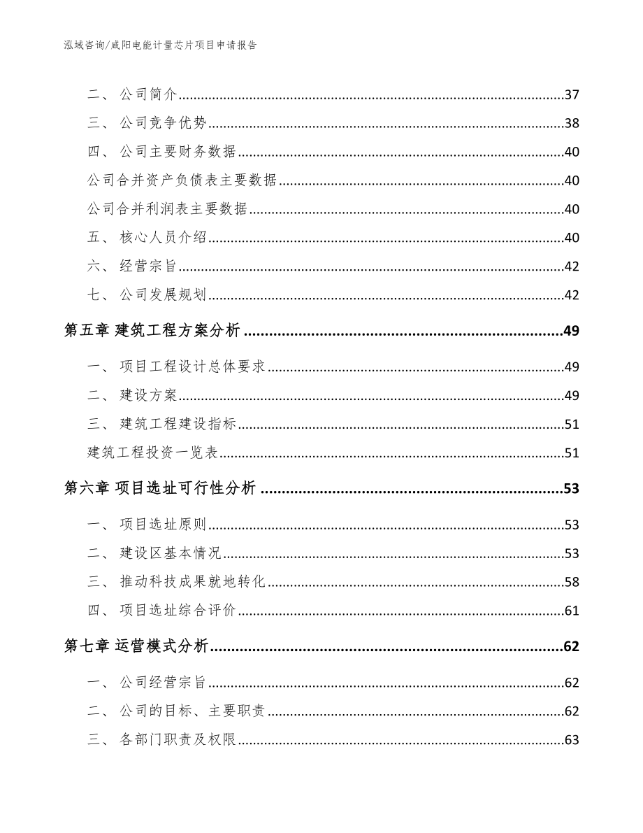 咸阳电能计量芯片项目申请报告_第2页