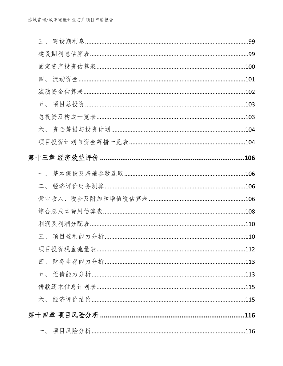 咸阳电能计量芯片项目申请报告_第4页