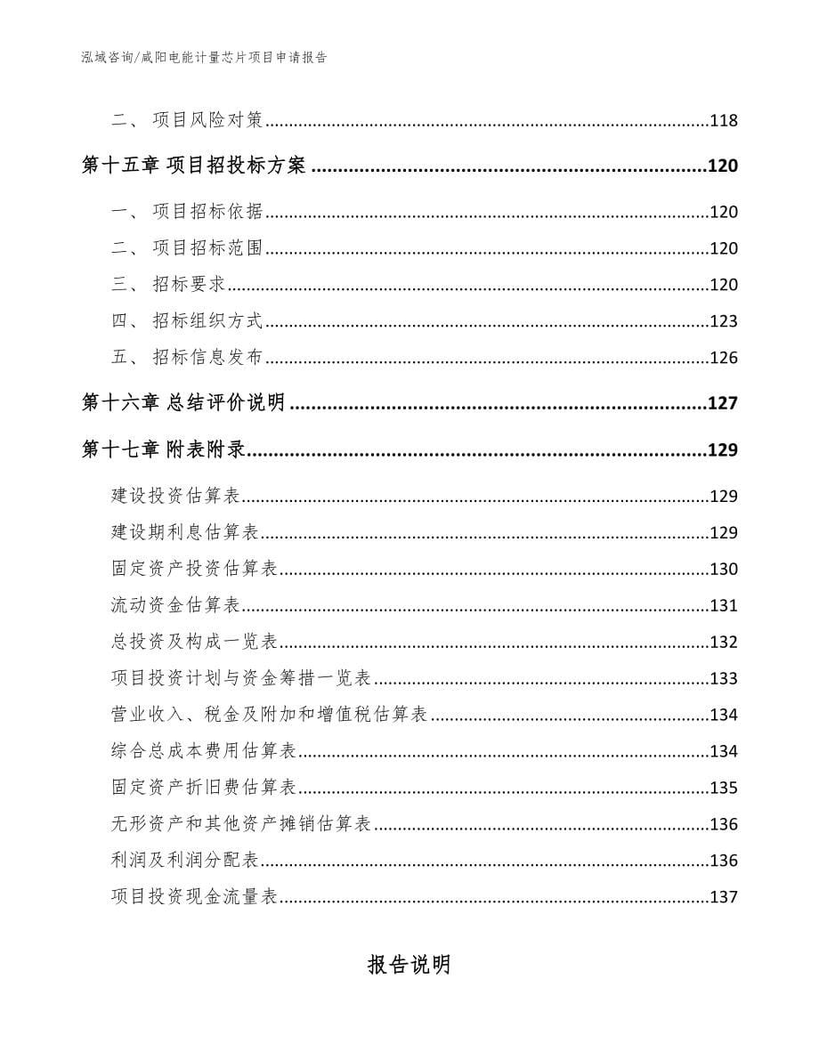 咸阳电能计量芯片项目申请报告_第5页