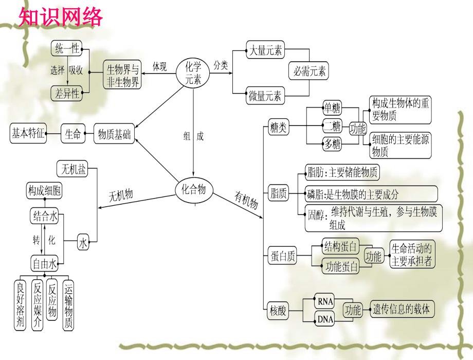 专题一--细胞的分子组成复习课件_第2页