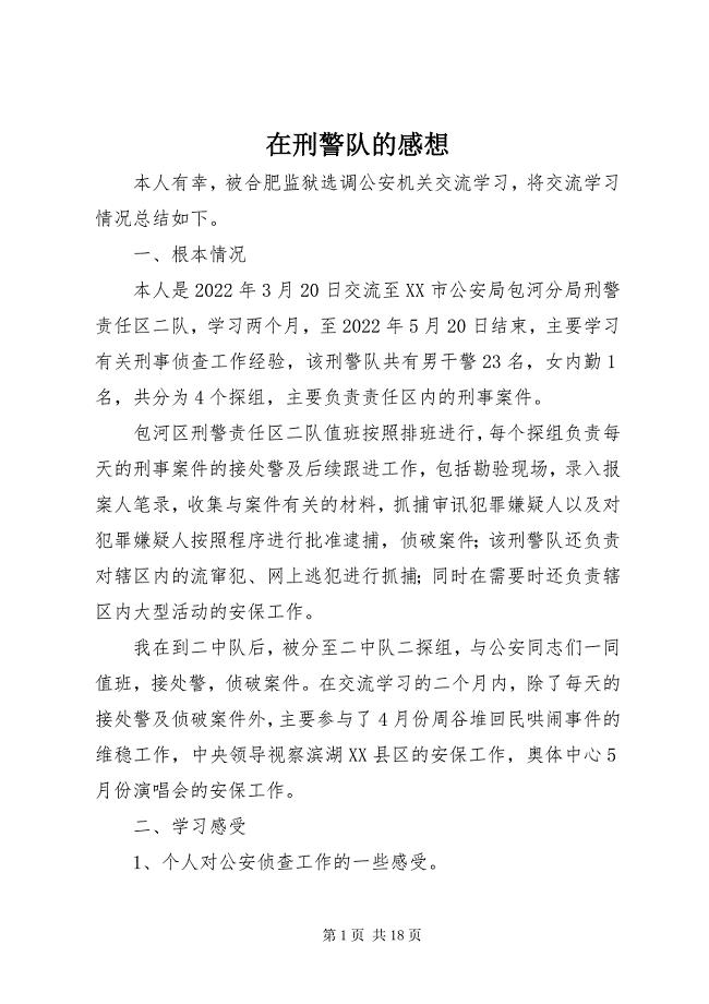 2023年在刑警队的感想.docx