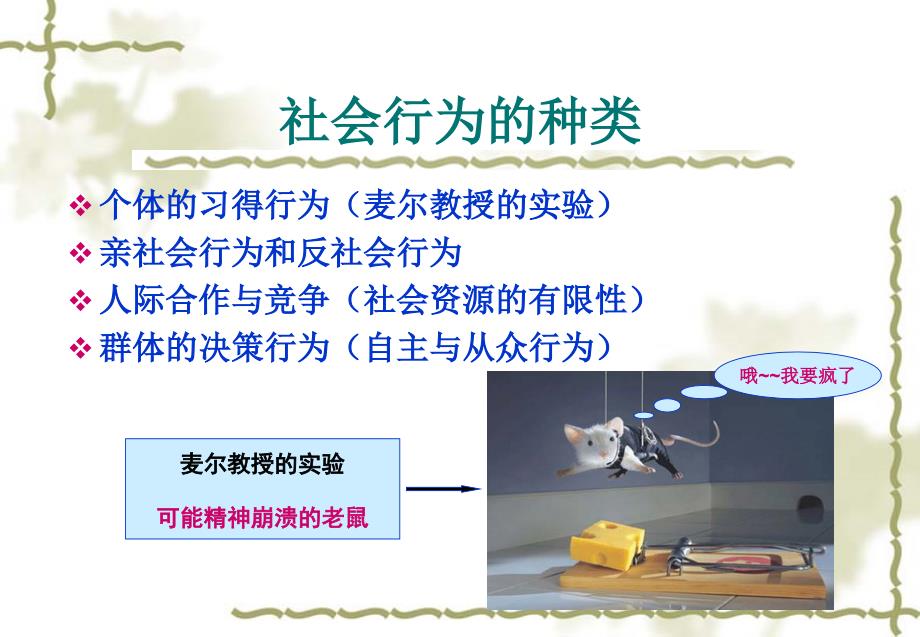 心理咨询师培训课程.ppt_第4页