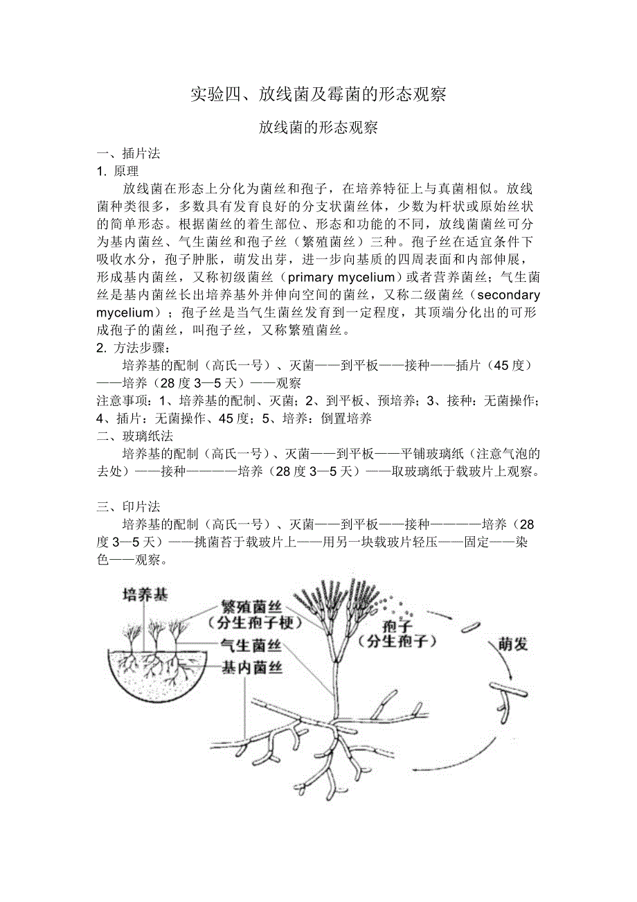 实验二、真菌的形态观察_第1页