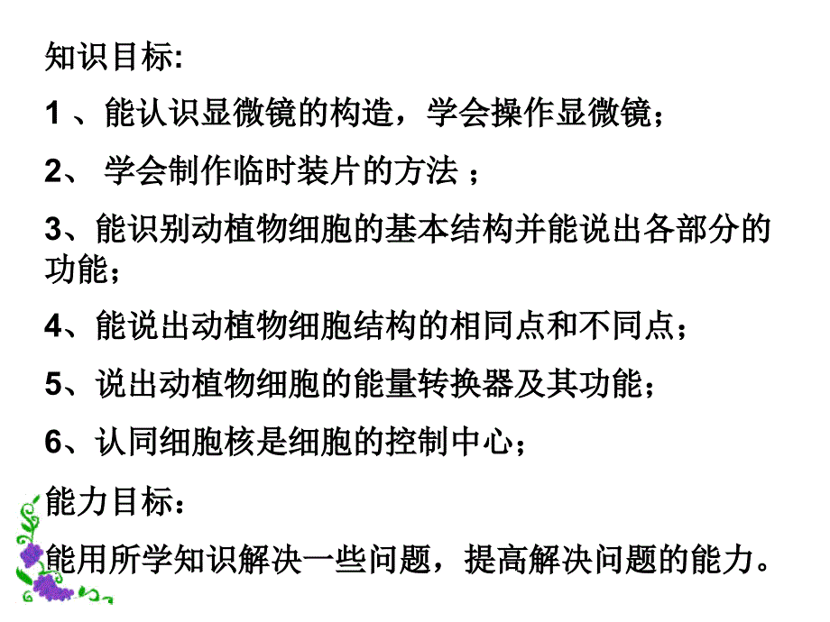 人体口腔上皮细胞临时装片_第2页