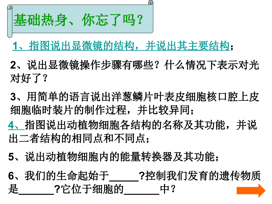 人体口腔上皮细胞临时装片_第3页