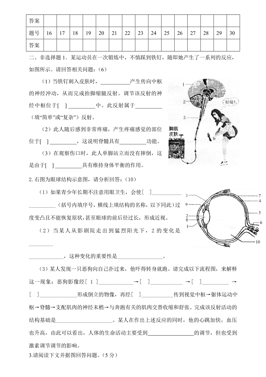 初二人体生命活动的调节_第3页