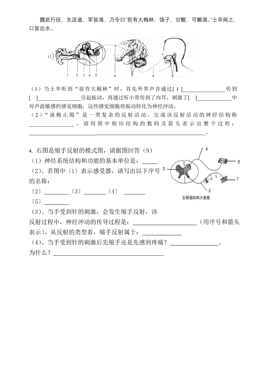 初二人体生命活动的调节_第4页