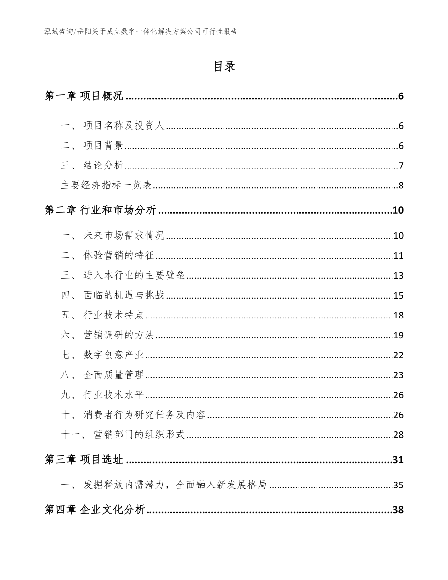 岳阳关于成立数字一体化解决方案公司可行性报告（模板）_第1页