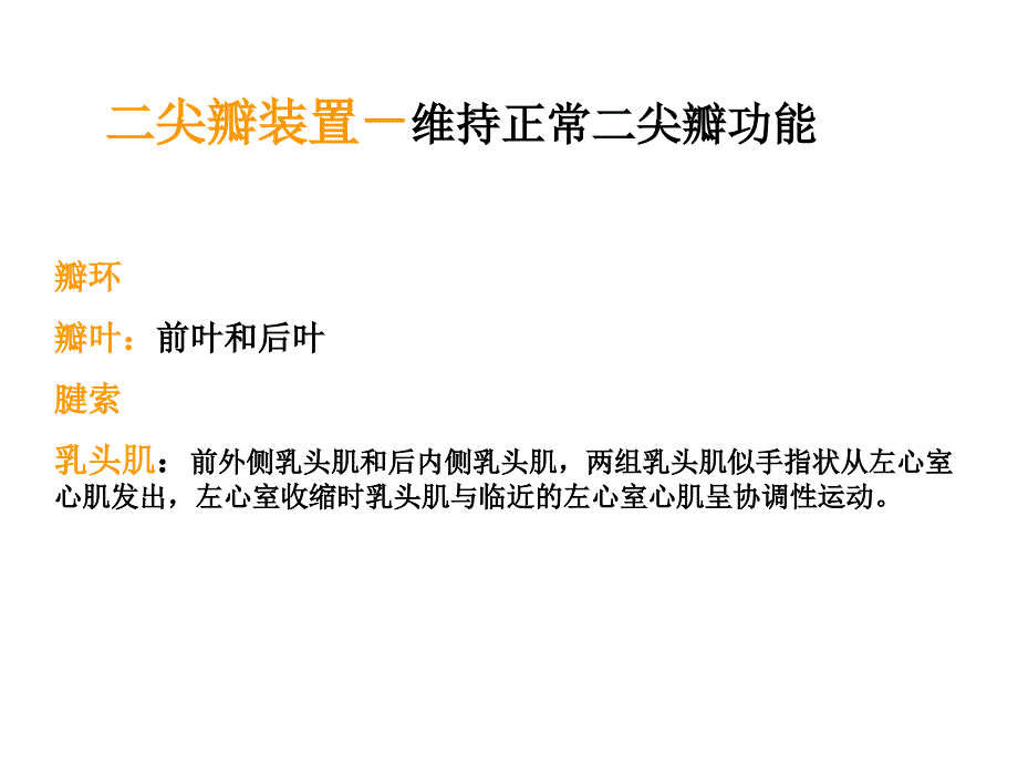 尖瓣疾病的超声诊断_第1页