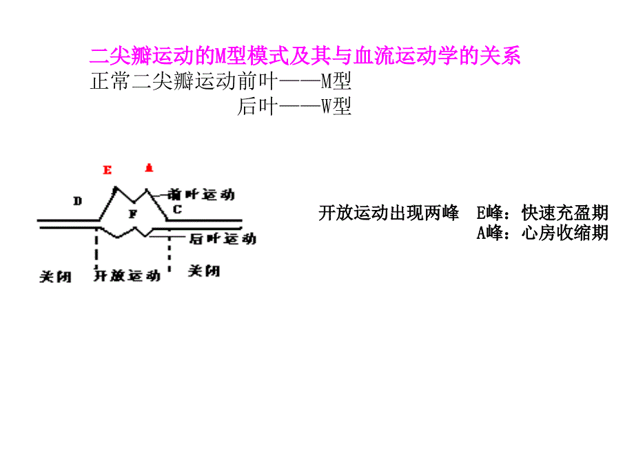 尖瓣疾病的超声诊断_第3页