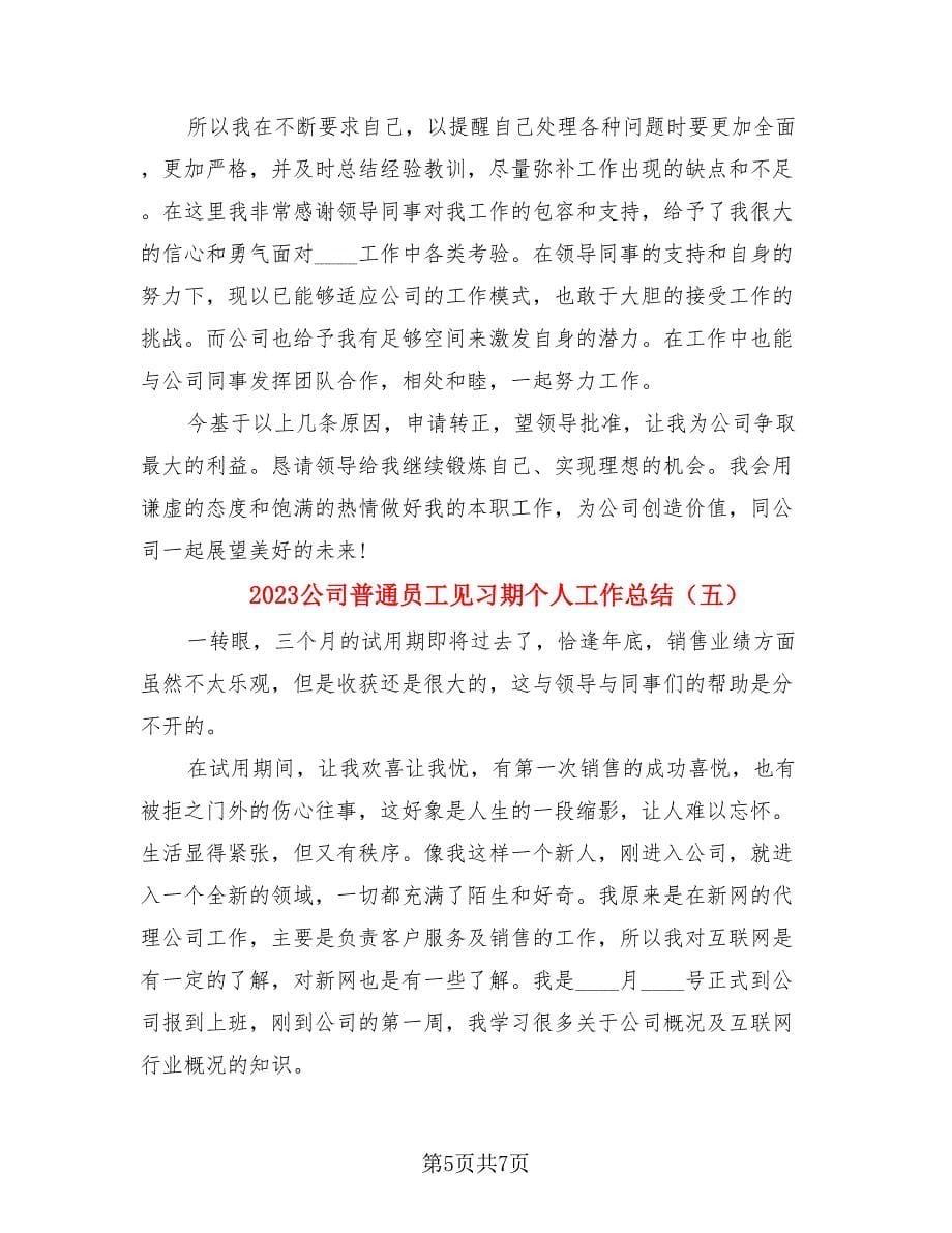 2023公司普通员工见习期个人工作总结.doc_第5页