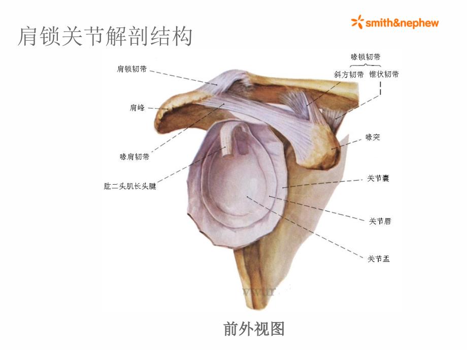 双ENDOBUTTON技术重建肩锁关节.ppt_第3页