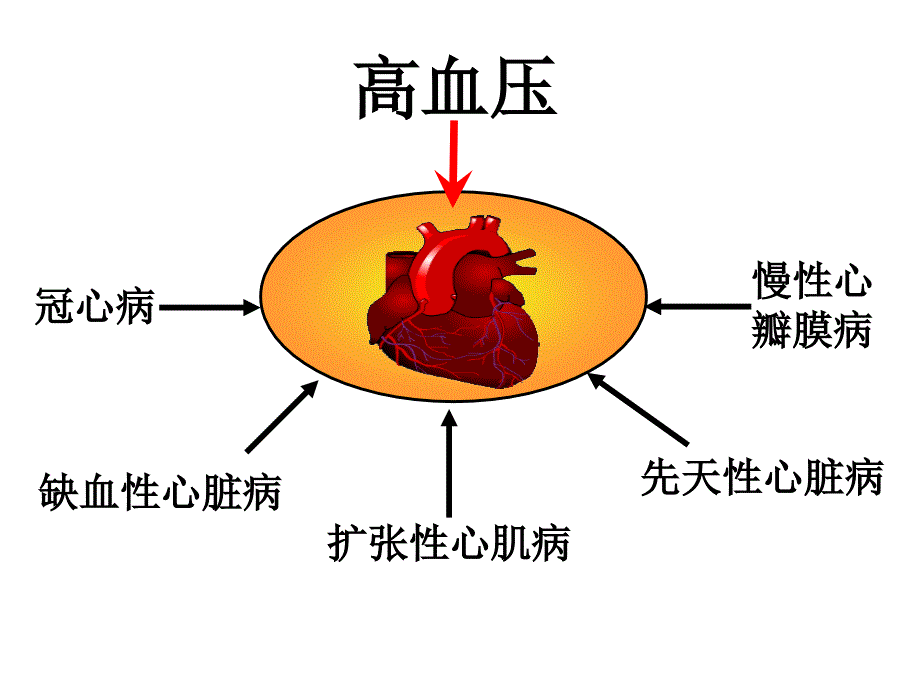 治疗充血性心衰的药物七对年制ppt课件_第2页