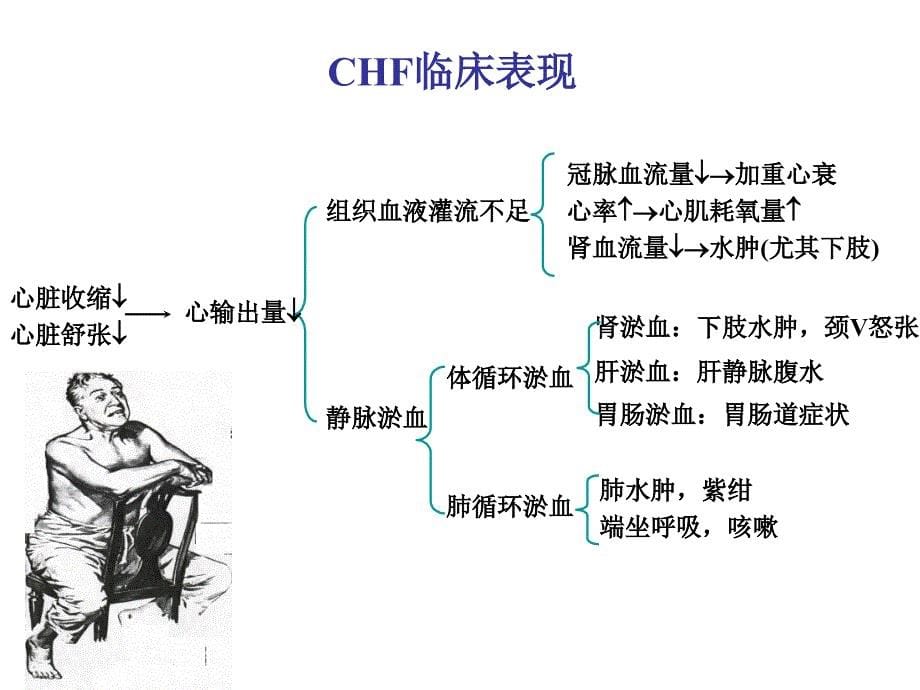 治疗充血性心衰的药物七对年制ppt课件_第5页