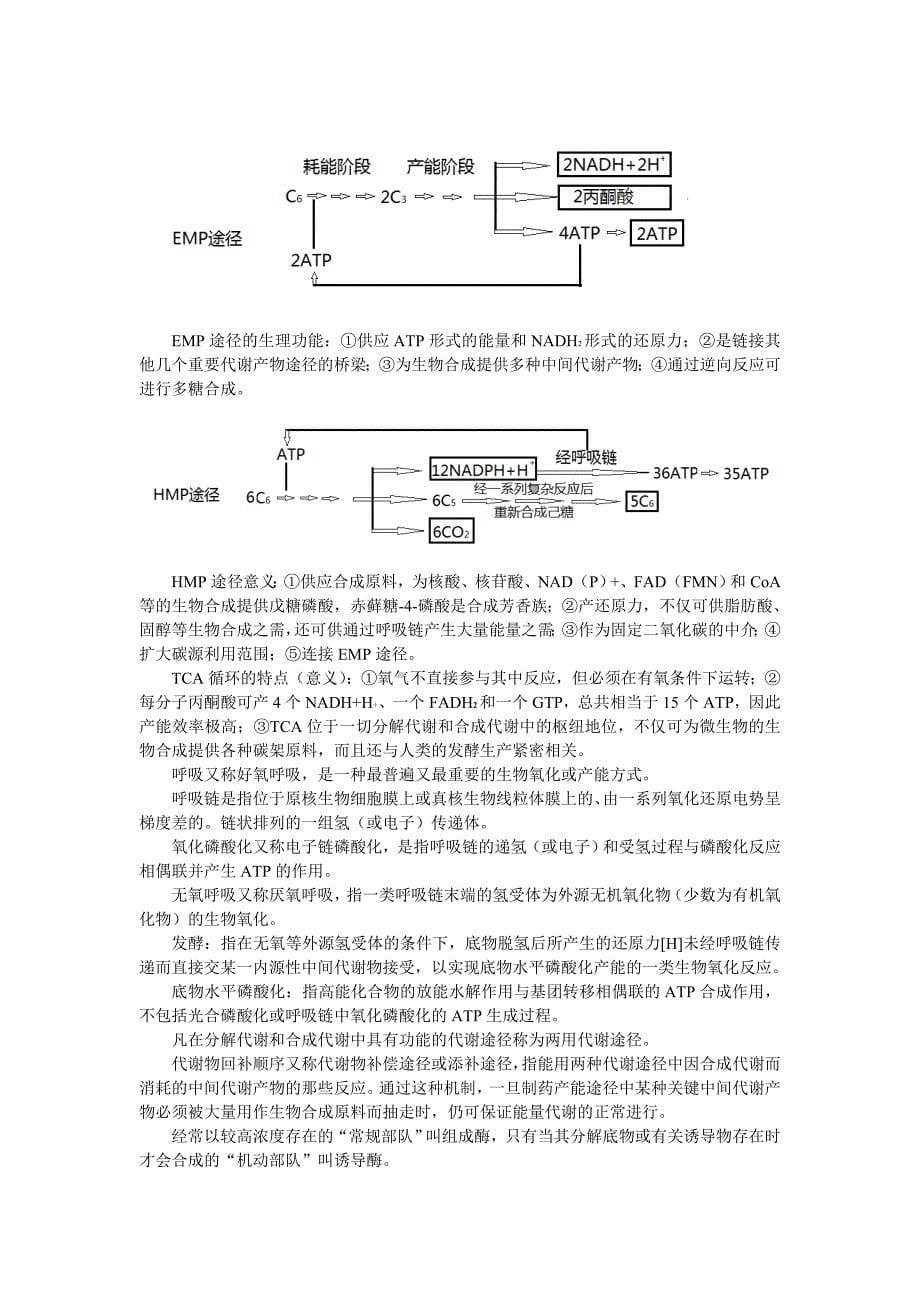 微生物学教程(周德庆第三)重点1-7章 （精选可编辑）.DOCX_第5页