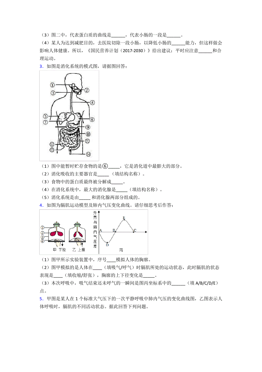 人教版中学七年级下册生物期末解答实验探究大题学业水平卷(附答案)35969_第2页