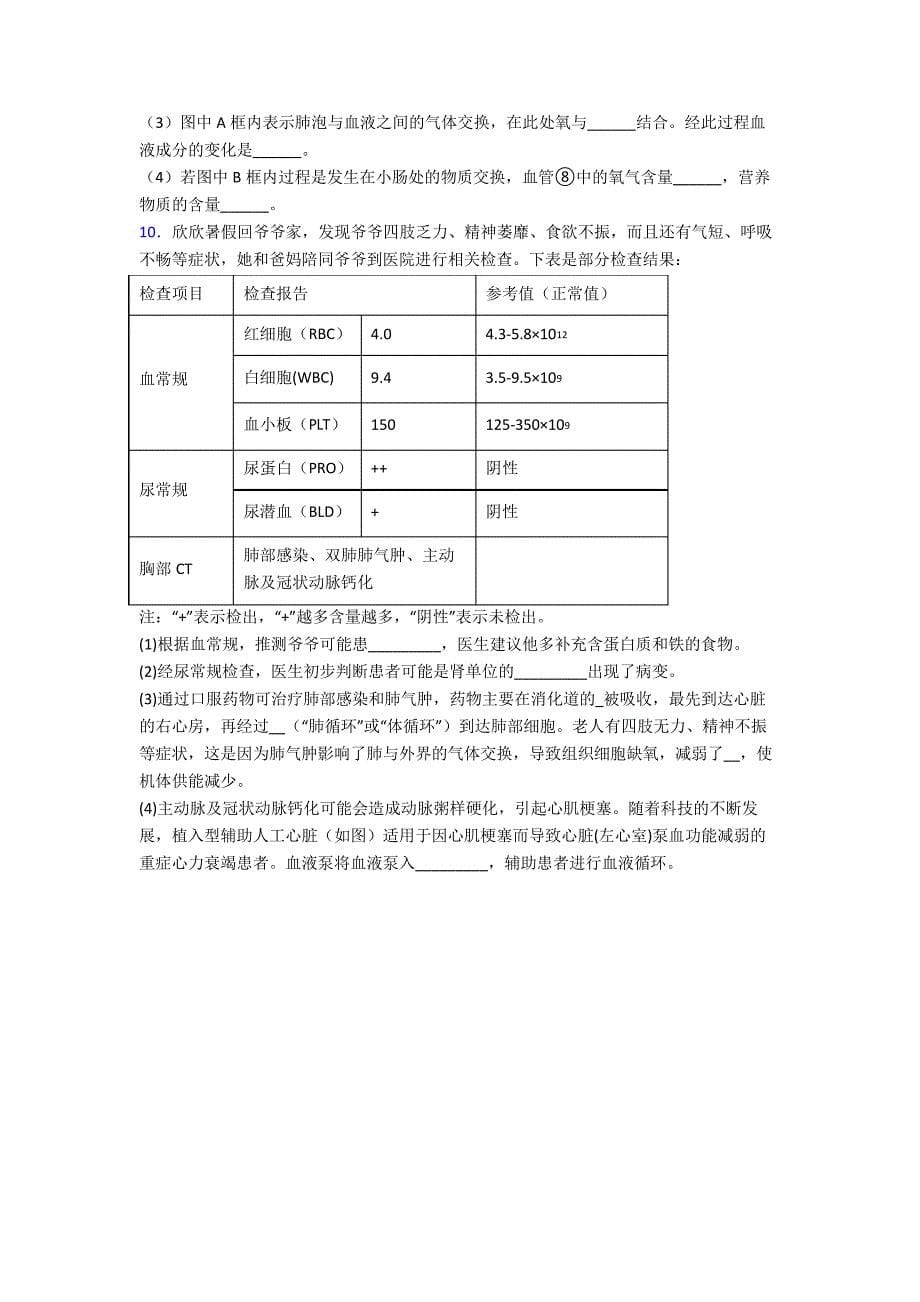 人教版中学七年级下册生物期末解答实验探究大题学业水平卷(附答案)35969_第5页