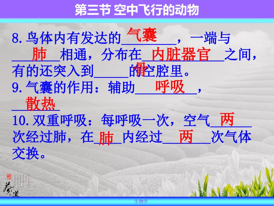 《空中飞行的生物》PPT课件.ppt_第2页