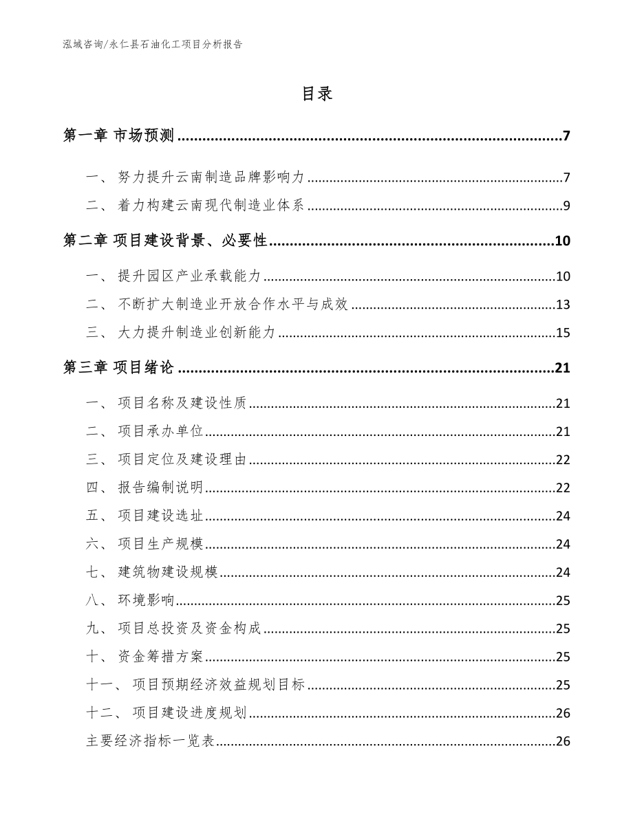 永仁县石油化工项目分析报告（模板）_第2页