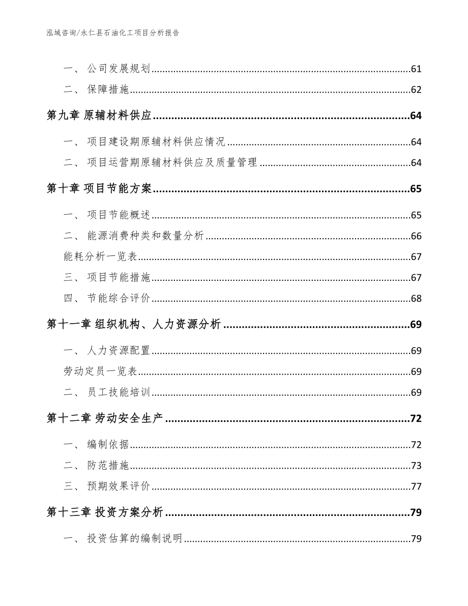永仁县石油化工项目分析报告（模板）_第4页
