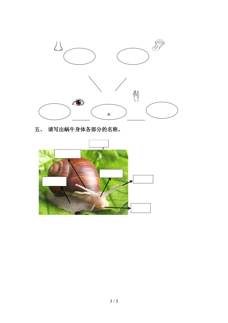 一年级科学下册期中考试题及参考答案.doc_第3页