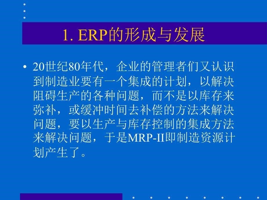 权威ERP培训教材_第5页