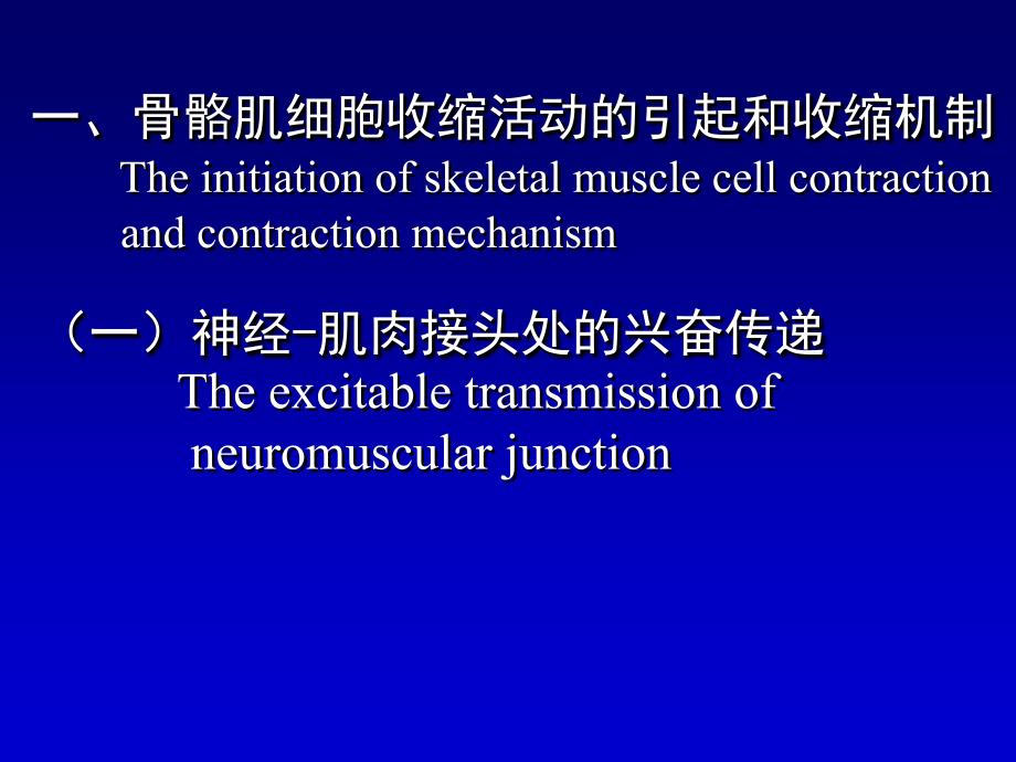 生理学骨骼肌的收缩功能_第2页