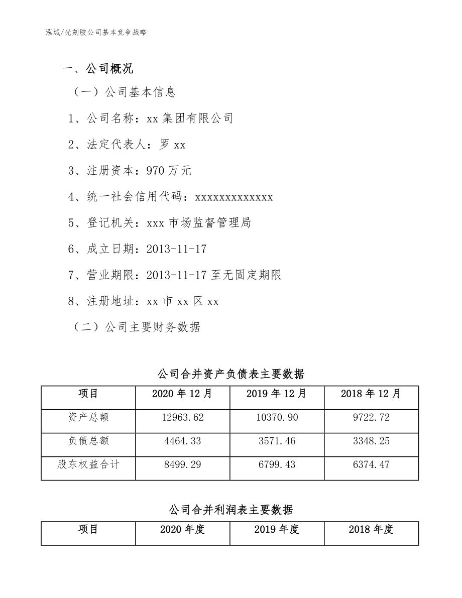 光刻胶公司基本竞争战略_第2页