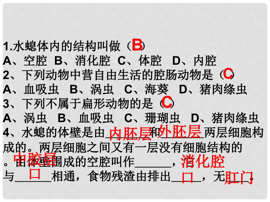 八年级生物上册 5.1.2 线形动物和环节动物课件（3） （新版）新人教版_第1页