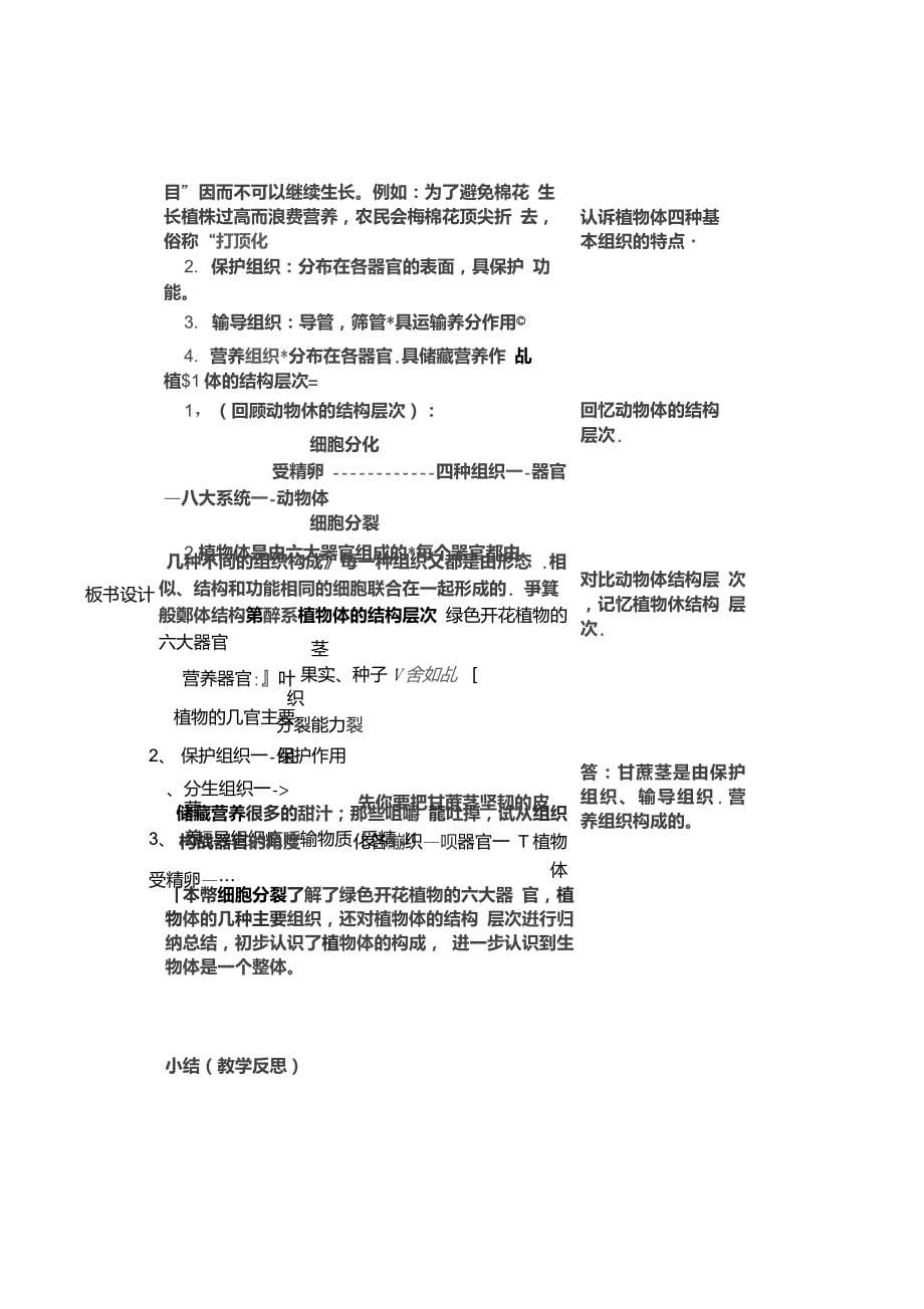 人教版七年级上册2.2.3《植物体的结构层次》教案__第5页